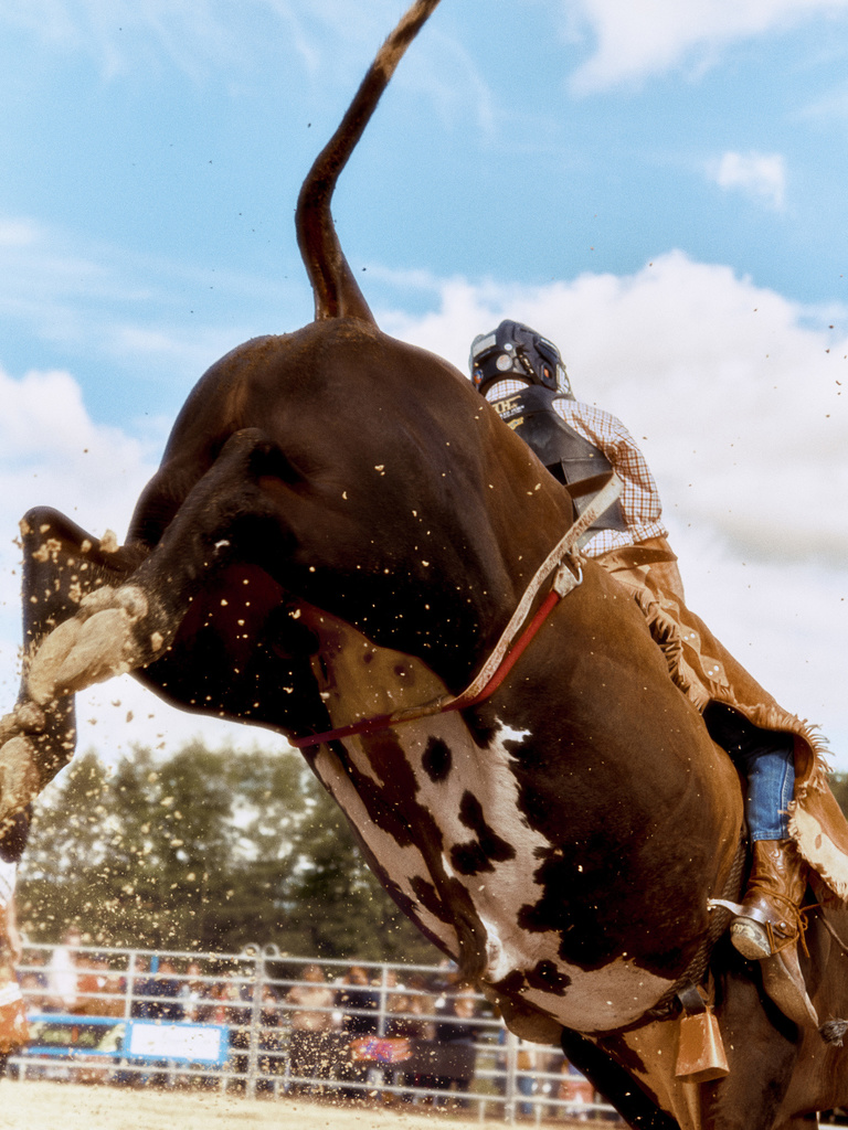 Thomas Chéné -  Bull Riding x Revue Hobbies