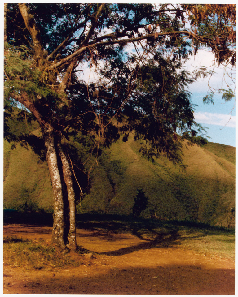 Thomas Chéné -  _04_2023_01_29_Envols_Colombie_Farallones-National-Park_Cerro-Tokio_780_SCAN_.jpg