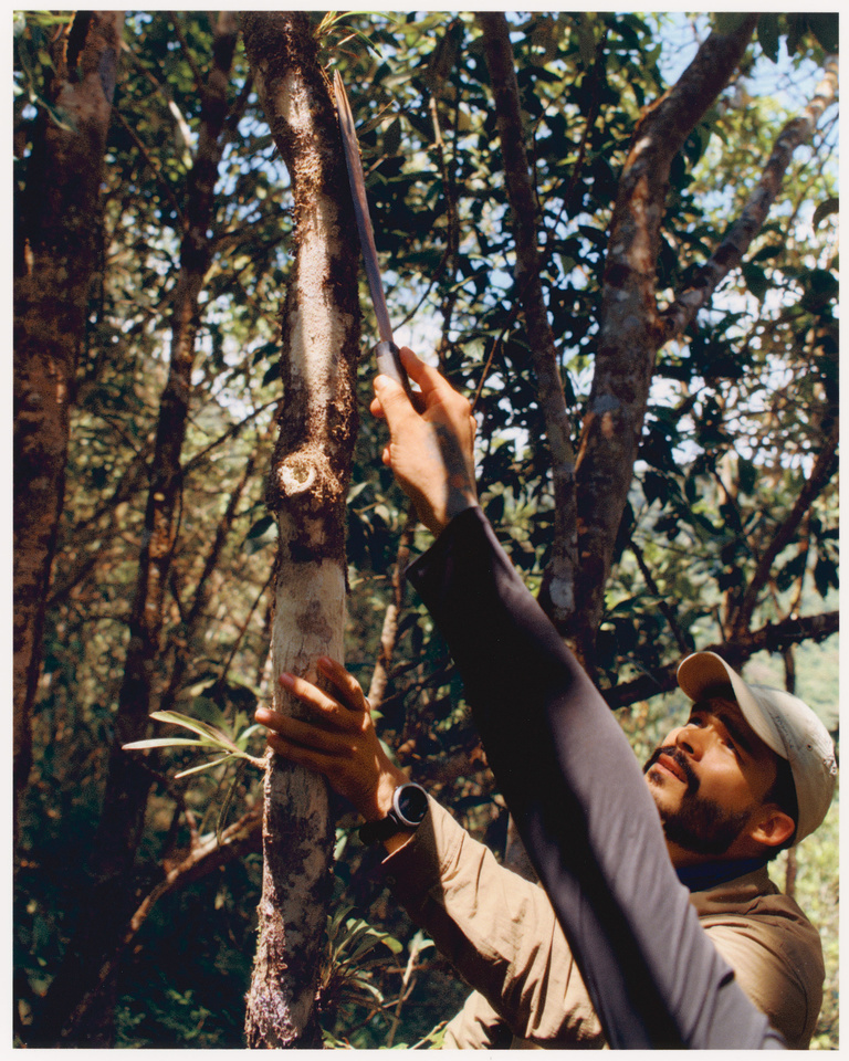 Thomas Chéné -  _12_2023_01_28_Envols_Colombie_San-Jose-del-Salado_380_SCAN_.jpg